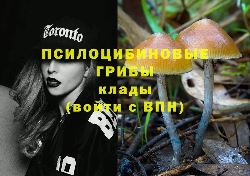 Псилоцибиновые грибы Psilocybe  купить наркотики сайты  Аксай 